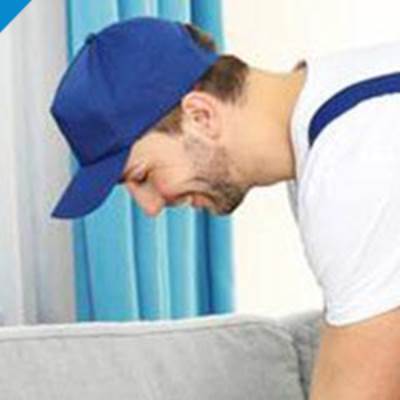 شركة فرسان المدينة للخدمات العامة بالمدينة المنورة forsan